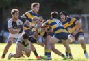 Regional del Litoral: Estudiantes y Rowing perdieron y dieron un paso atrás
