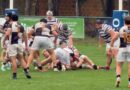 Regional del Litoral: Estudiantes y Rowing tuvieron personalidad y lograron importantes victorias